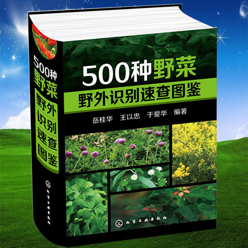 [醉染正版]500种野菜野外识别速查图鉴中医养生书籍大全自然生物科学植物草药识别学百科全书健康饮食谱书野外效游探险生活常高清大图