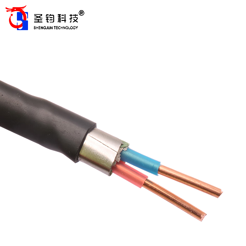 圣钧科技 SHENGJUN TECHNOLOGY 电线电缆 ZR-YJV22-2*2.5+米高清大图