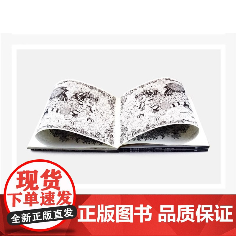 [央视网]正版 魔法森林 秘密花园2 成人填色书 涂色书 解压减压手绘画册绘画图画本 我的秘密花园儿童版小学生通用HL