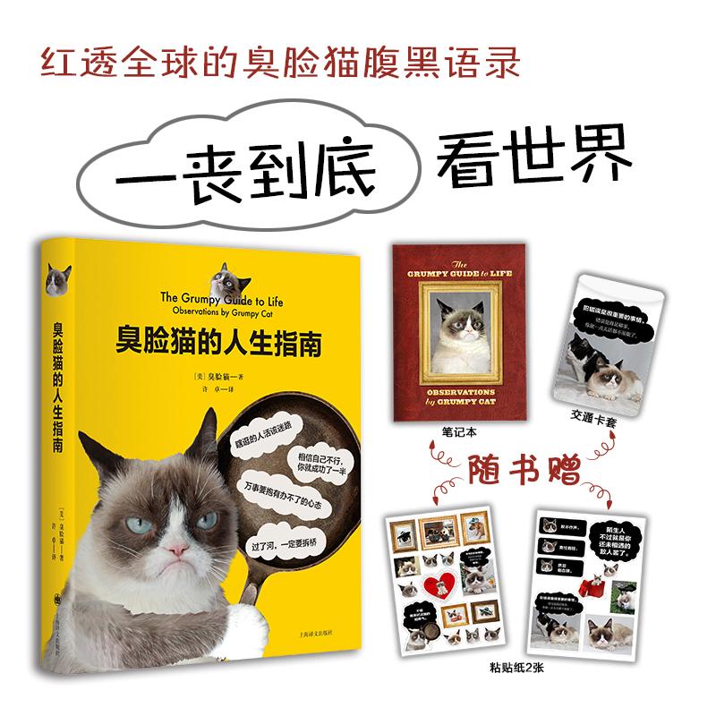臭脸猫的人生指南