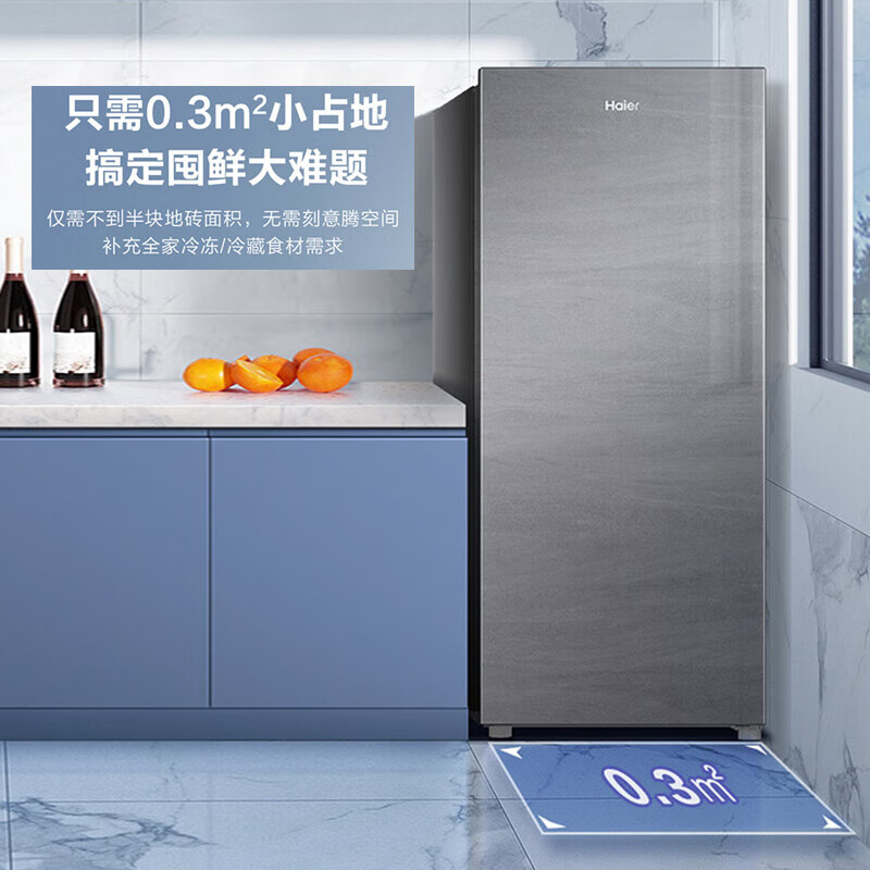 Haier海尔冷柜 立式冰柜 138升家用小型冷柜 黑金净化抗菌 无霜 1级能效 冻藏转换零下-24度深冷低温单温冰柜高清大图
