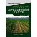 玉米常见缺素症状图谱及矫正技术