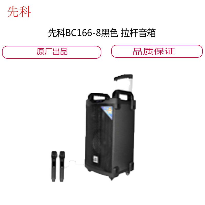 先科BC166-8黑色 拉杆音 箱