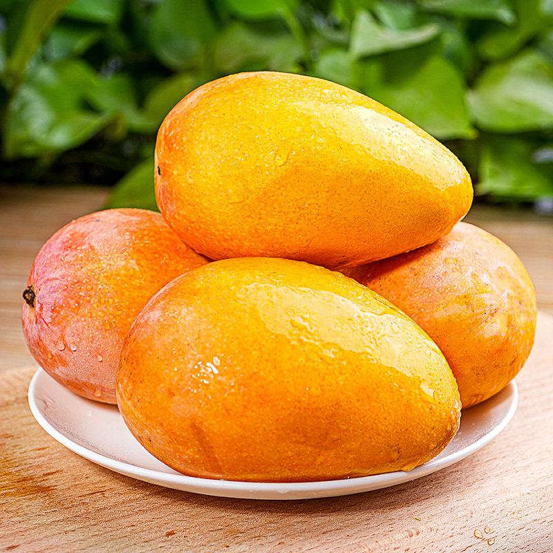 [西沛生鲜]海南小台芒 净重4.8斤 大果 单果100g+ 芒果新鲜水果应当季树上熟高清大图