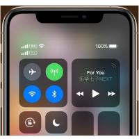 Apple iPhone XS 64GB 银色 移动联通电信4G手机MT9Q2CH/A