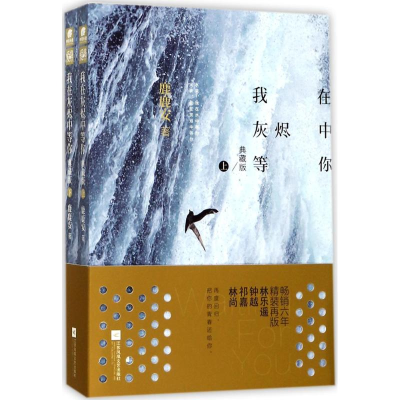 醉染图书我在灰烬中等你9787559407511高清大图