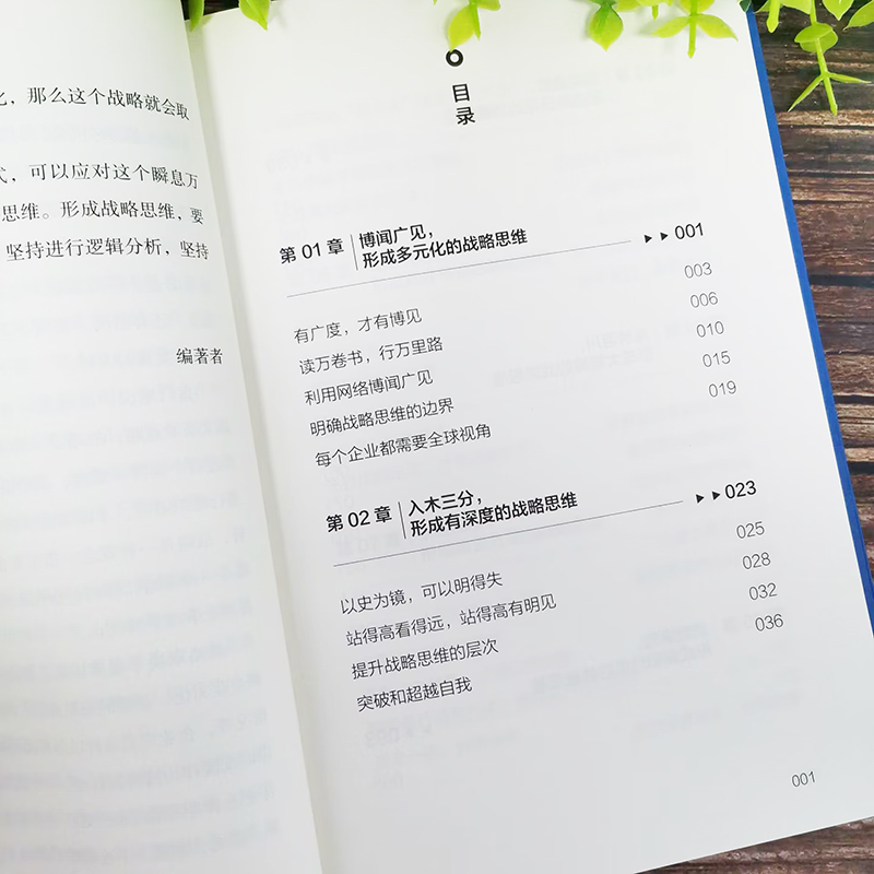 [正版] 战略思维 吴大有编著 改变思维 转化战略 看清未来 把握机会 提升自己的洞察力 解读8种战略之道 心理学与脑高清大图