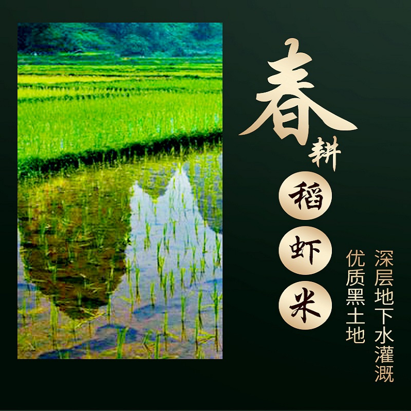 苏义禾稻虾(蟹)米4KG 350*88*180mm