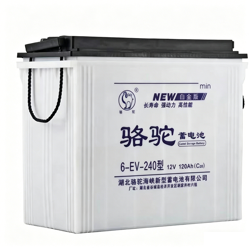 骆驼 蓄电池12V120Ah 6-EV-240型 只高清大图