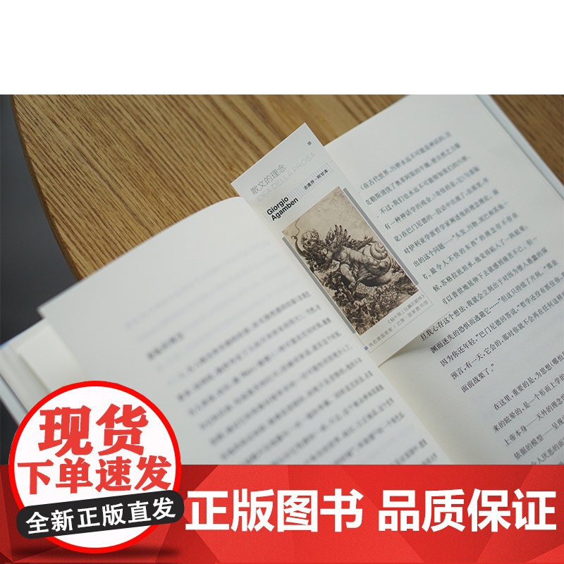 散文的理念(精)/当代激进思想家译丛 吉奥乔 阿甘本 折射集 南京大学出版社 哲学知识读物 美学文学读物高清大图