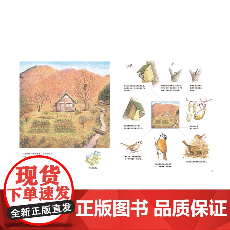 山居鸟日记高清大图