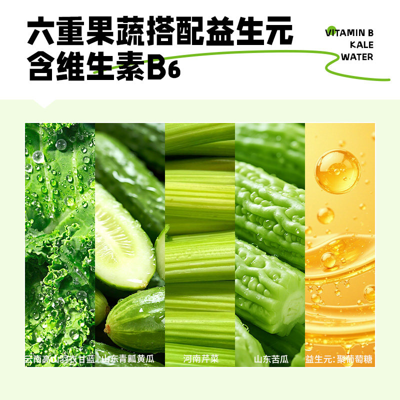 轻上千冠菌羽衣甘蓝奇亚籽番茄汁245ml*10瓶 0添加蔗糖复合果蔬汁饮品高清大图