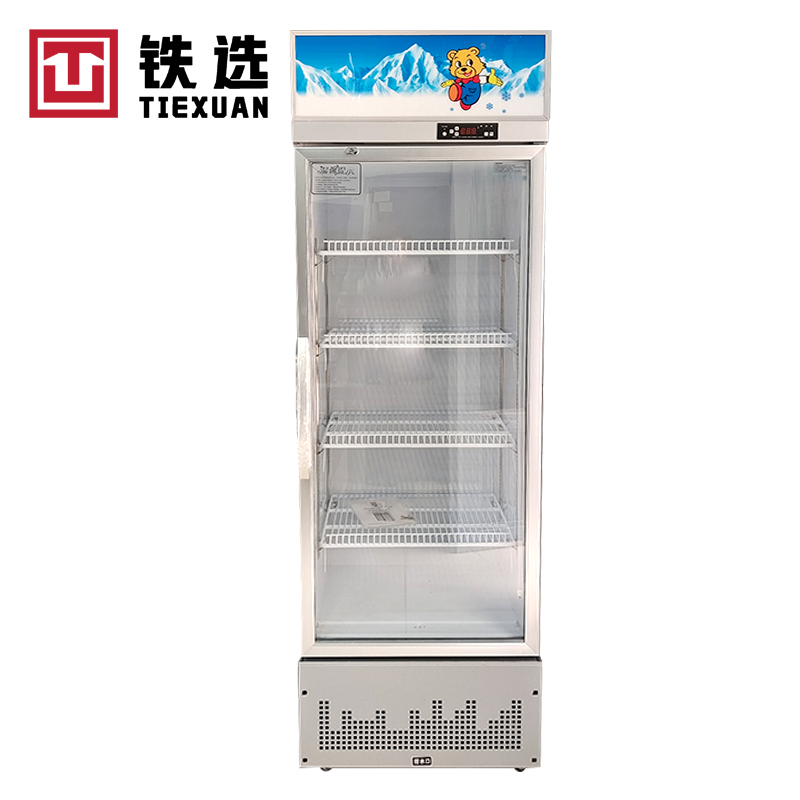 铁选 留样柜 TX-单门600*510*1730 台