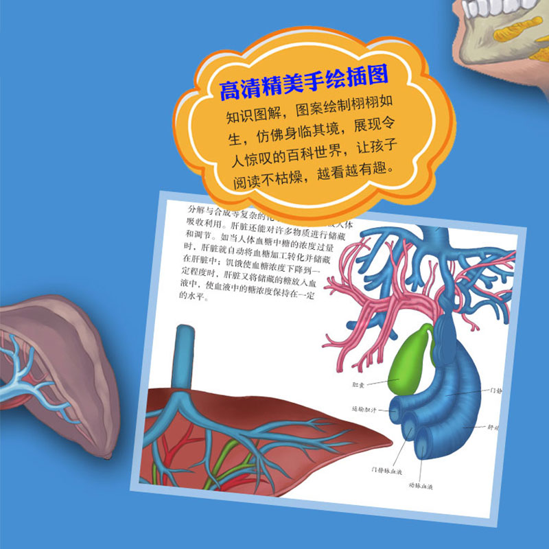 人体百科全书 [正版]儿童奥秘人体百科大全书海量图片揭秘我们的身体骨骼结构图解以文字为孩子探索认识人体科普打开兴趣四五六高清大图