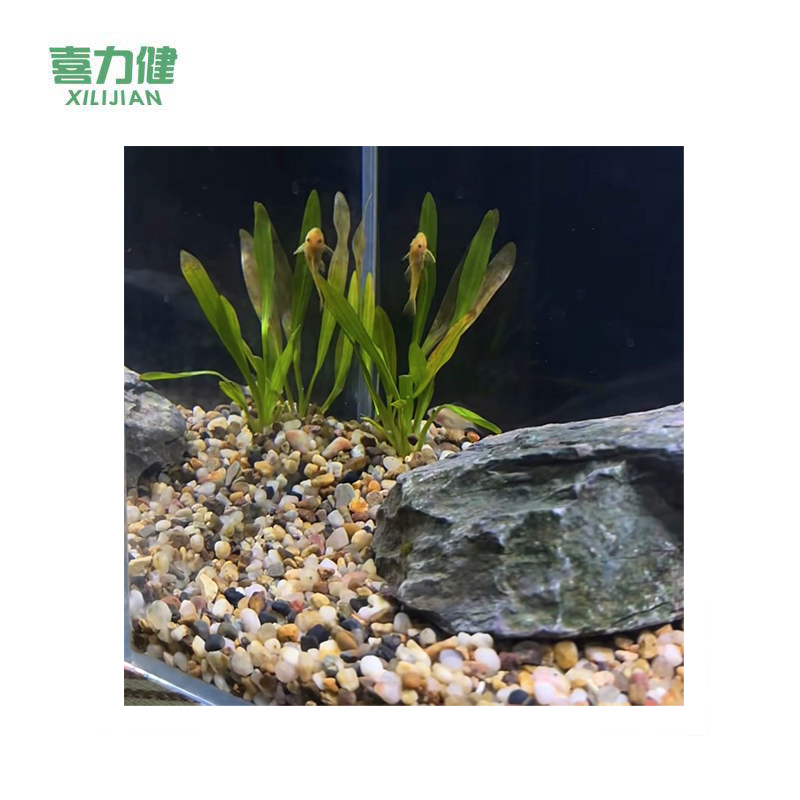 喜力健 天然溪流石 0.3CM-0.6CM 袋高清大图