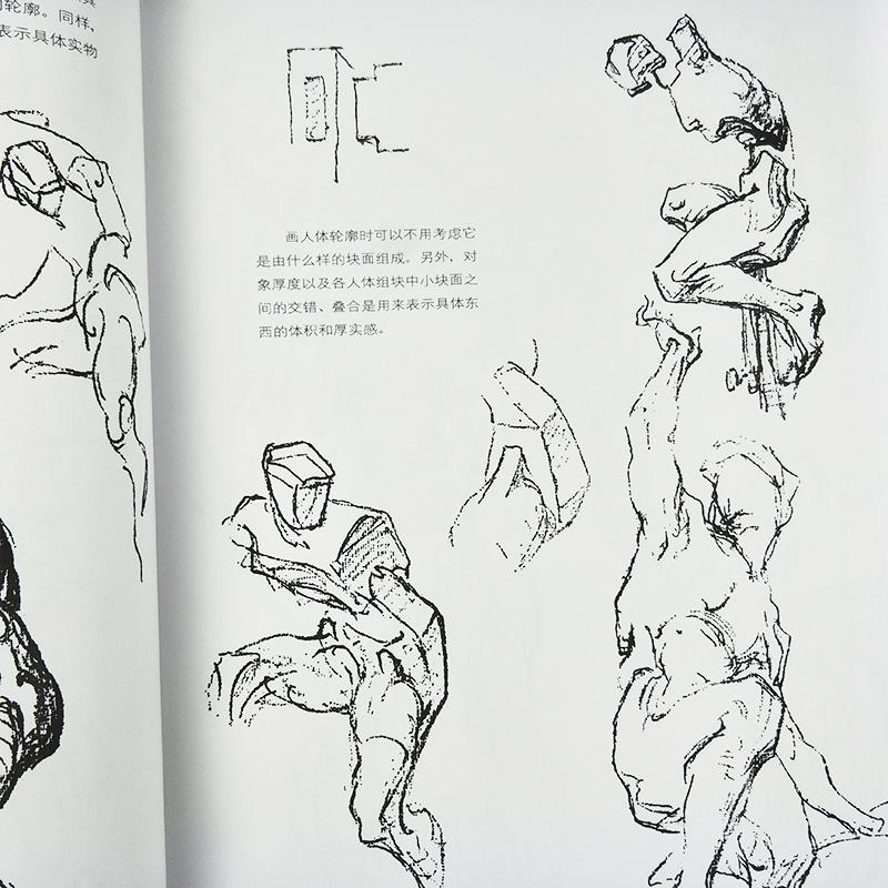 [正版]伯里曼人体结构绘画教学白金版人体结构造型手绘技法艺用画手解剖高清大图