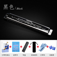 天鹅(Tian E)口琴儿童初学者成人高级演奏24孔复音c调学生自学入门男女通吹奏乐器其他1