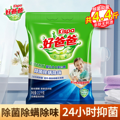 好爸爸除菌除螨除味亲肤洗衣粉2.2kg