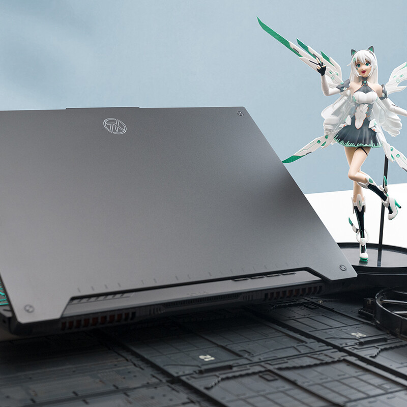 华硕(ASUS)天选3plus 锐龙版 15.6英寸游戏本 笔记本电脑(R7-6800H 64G 2TB RTX3070TI 165HZ 100%sRGB高色域屏)灰