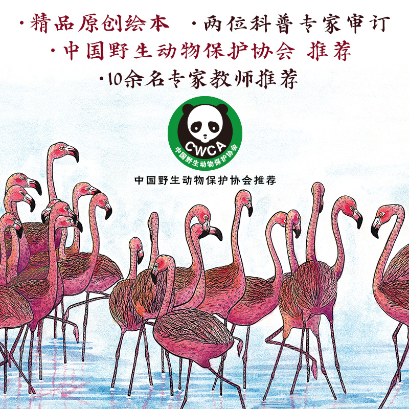 醉染图书我的飞鸟朋友(全4册)9787544879453高清大图