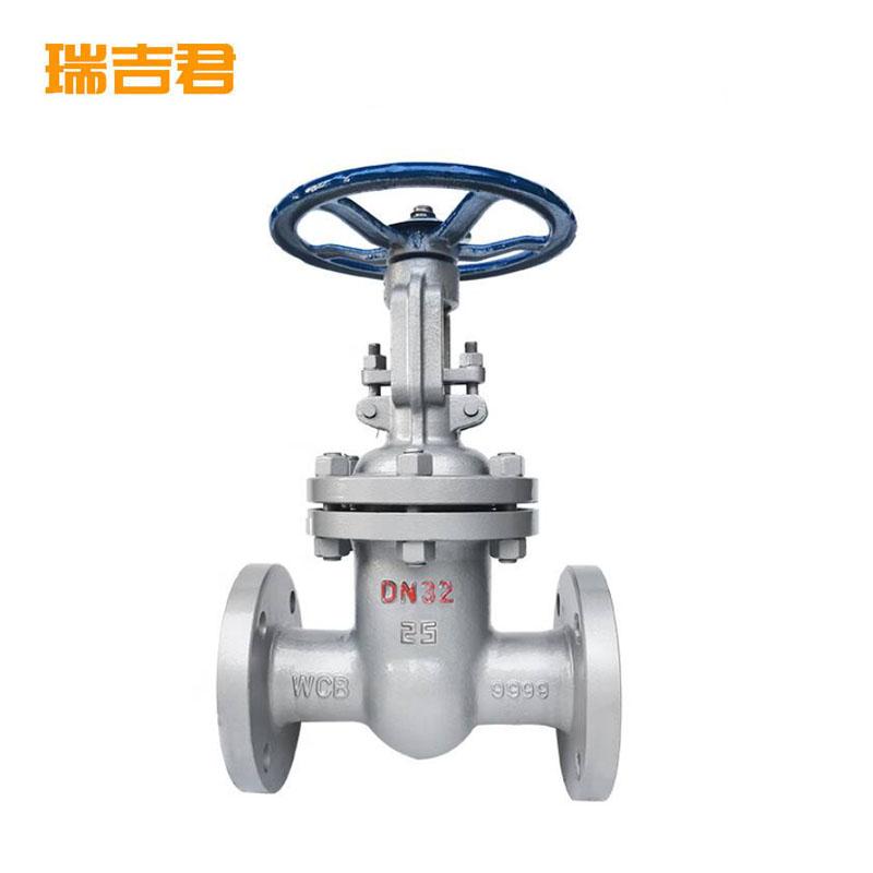 瑞吉君 法兰铸钢闸阀 DN32 个