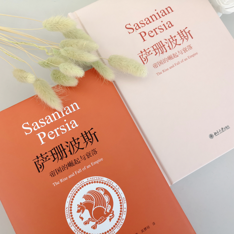 醉染图书萨珊波斯 帝国的崛起与衰落9787301318713高清大图