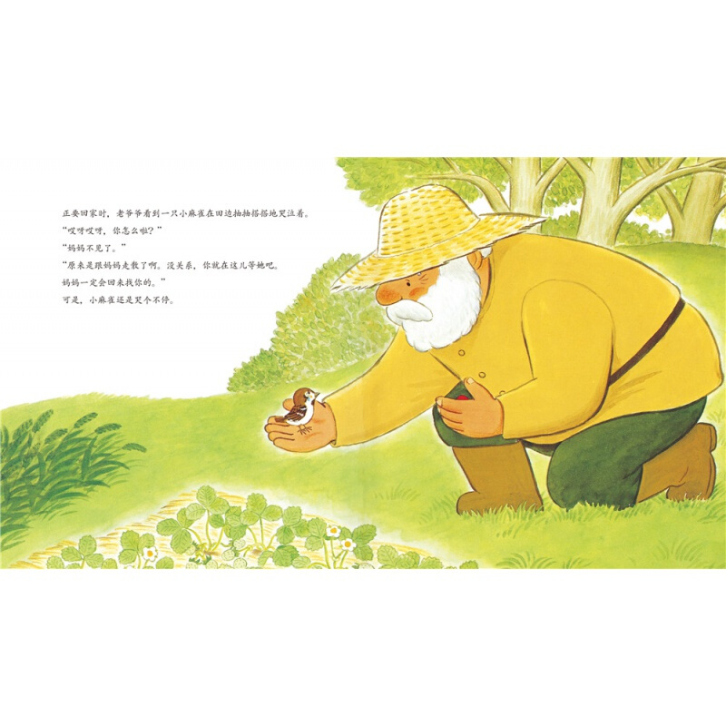 草莓[精装 点读版] [正版]点读版心喜阅绘本馆善平爷爷的草莓 获奖平装海豚绘本花园儿童图画故事书幼儿园宝宝亲子阅读低幼高清大图