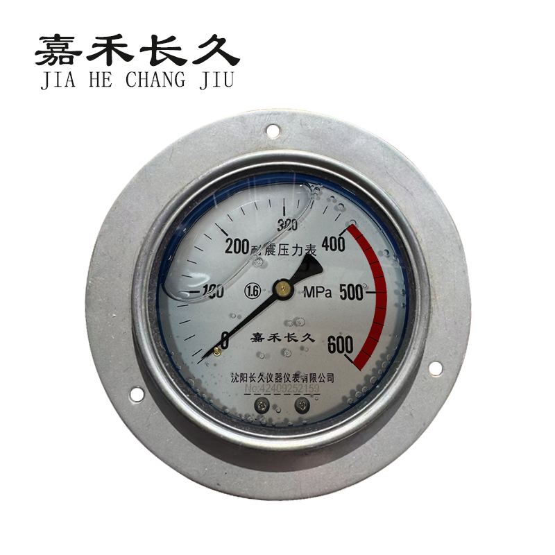 嘉禾长久 不锈钢耐震压力表轴向带边 YN100BF/ZT 0-600MPa 块高清大图