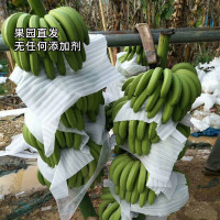 【希悦果品】大香蕉8斤装 约25个 新鲜现摘 硬度适中