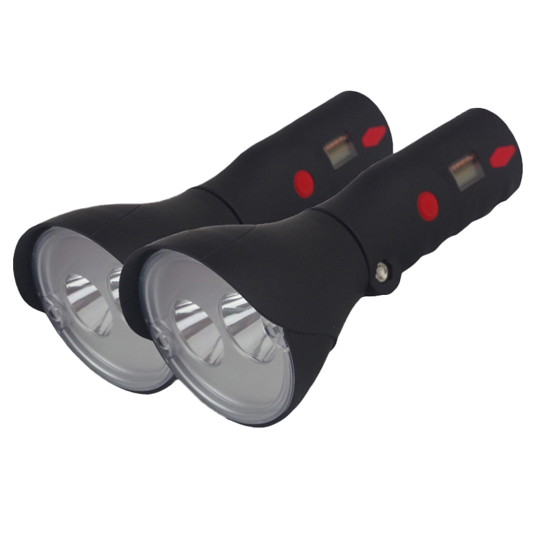 立华王LH3100D-B手电高清大图