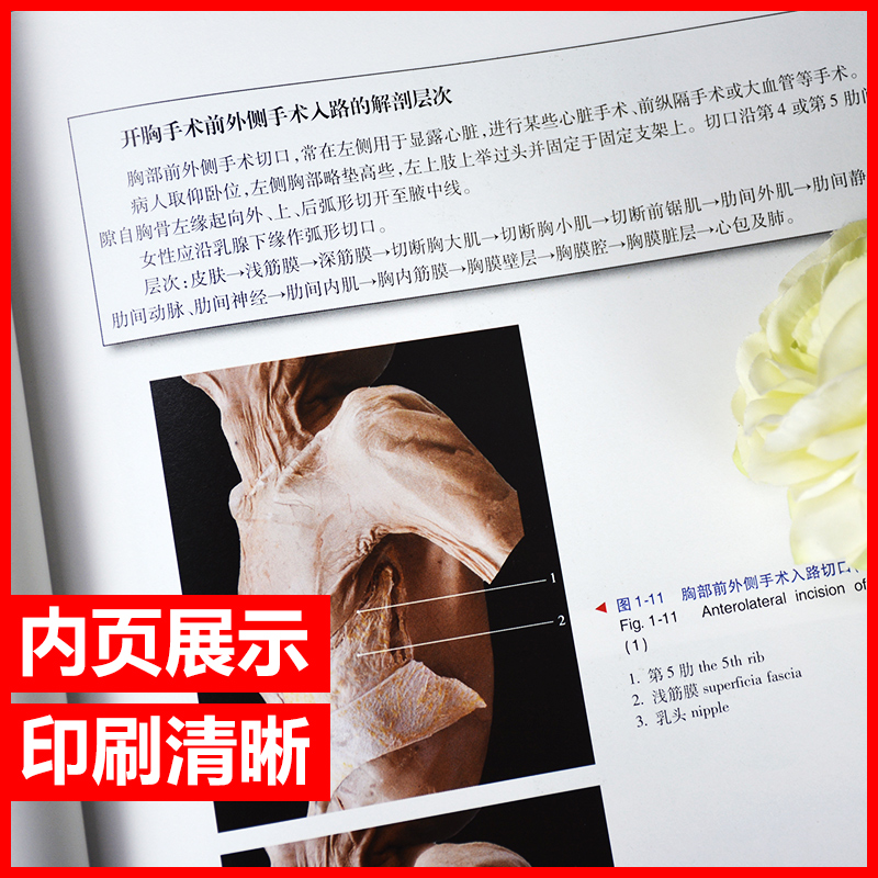[醉染正版]正版 胸部临床解剖实物图谱 第2版 张炎 金海 主编 临床解剖学实物图谱丛书 基础医学 2017年10月高清大图