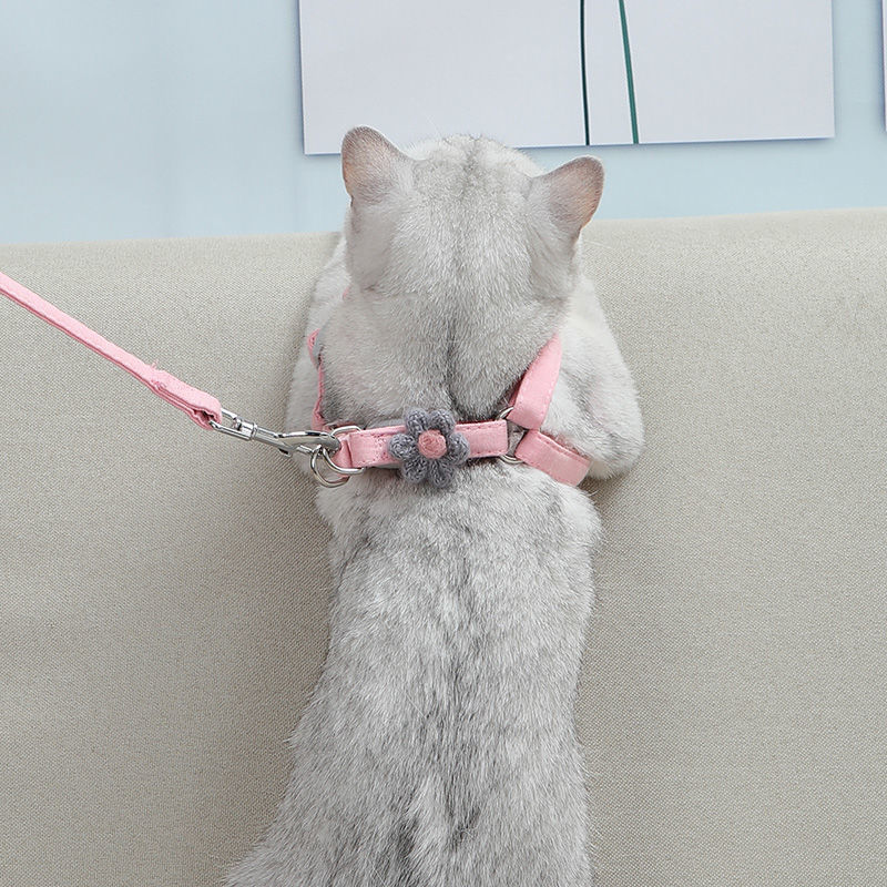 粉色 S码(3---7斤) 猫咪牵引绳猫绳子遛猫外出家用猫牵引小花猫绳猫链子宠物用品溜猫