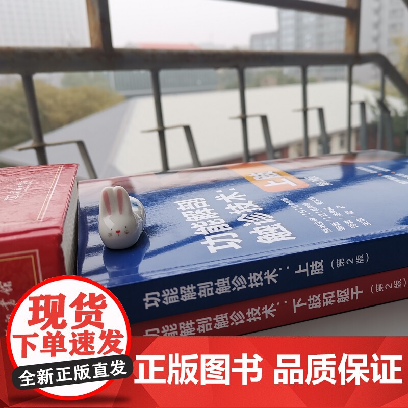 功能解剖触诊技术 第2版 全2册 上肢+下肢和躯干 运动康复 医学 解剖 北京科学技术高清大图