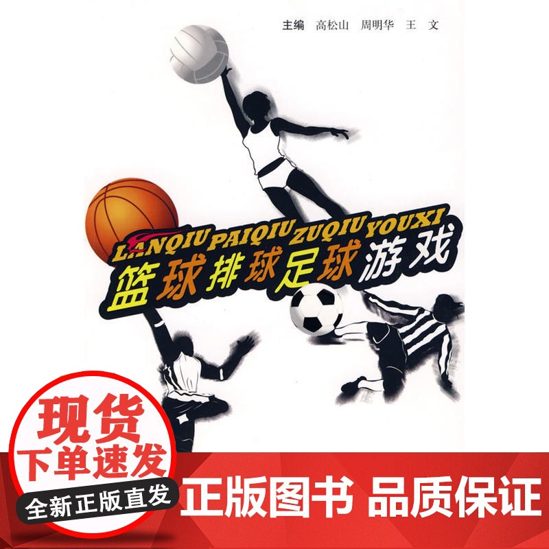 篮球、排球、足球游戏高清大图