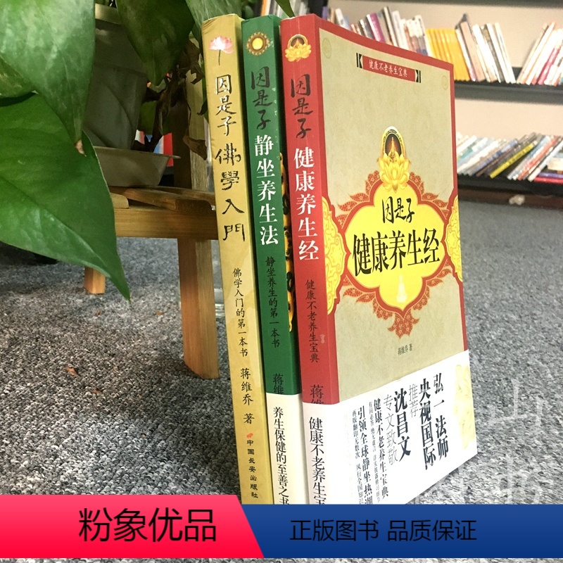 【正版】因是子静坐养生法+因是子健康养生经+因是子佛学入门 蒋维乔 宗教佛教哲学佛教的历史 静坐节食养生法修身养性健康