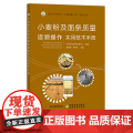 小麦粉及挂面质量追溯操作实用技术手册 面粉 面条 质量管理 食品安全 2915管