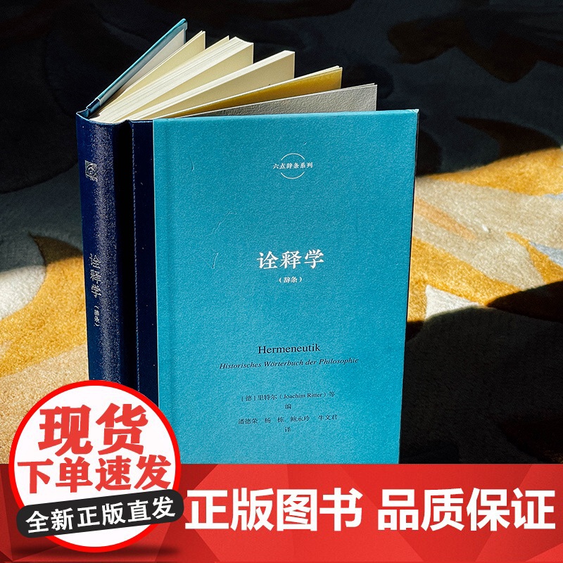 诠释学 里特尔 六点辞条系列 诠释学与诠释之学研究系列丛书 精装 华东师范大学出版社高清大图