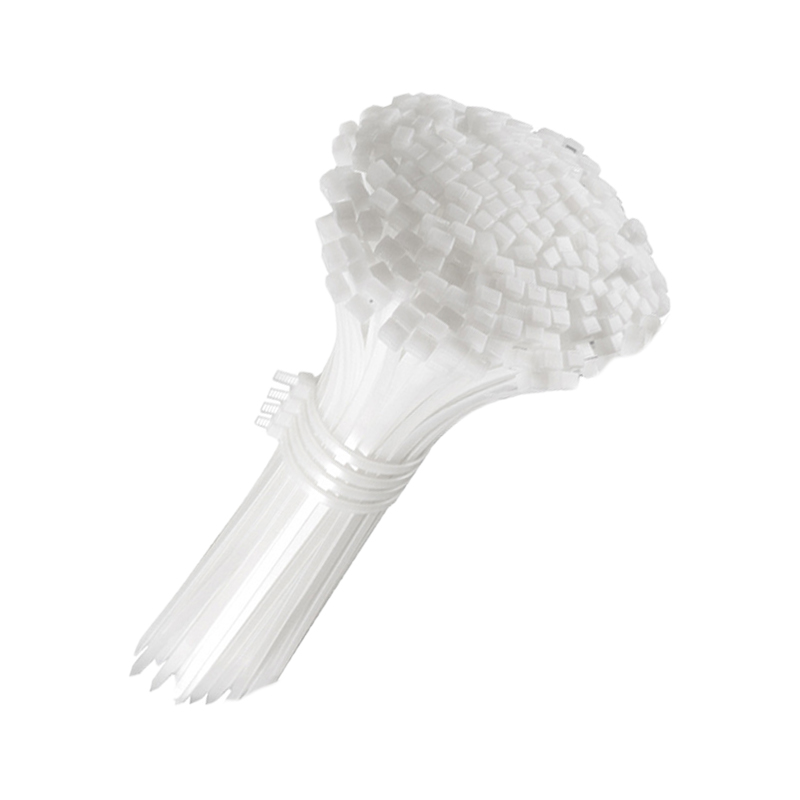 安盟臣AMC2061尼龙扎带10*800mm 白色100根/包高清大图