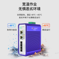 博扬 工业级交换机双纤SC 二光二电千兆收发器 宽温宽压 导轨式以太网交换机 集线器 含电源 BY-ISUG2022