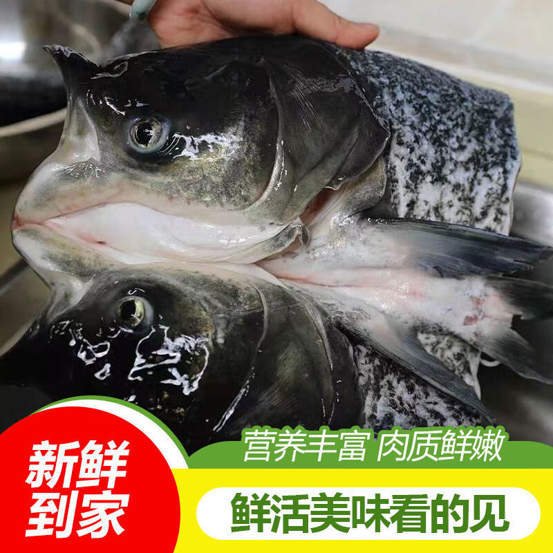 鲜花鲢鱼头 袋装500g高清大图