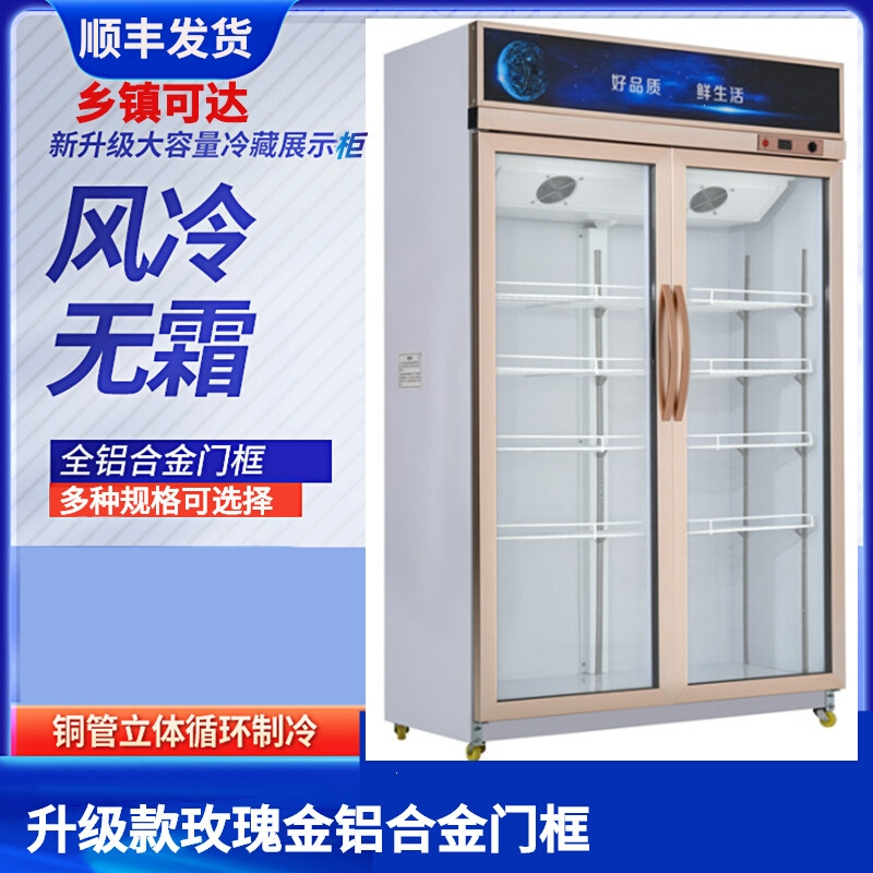 冷藏柜展示柜保鲜柜立式双门铜管切夫曼商用饮料冷冻柜