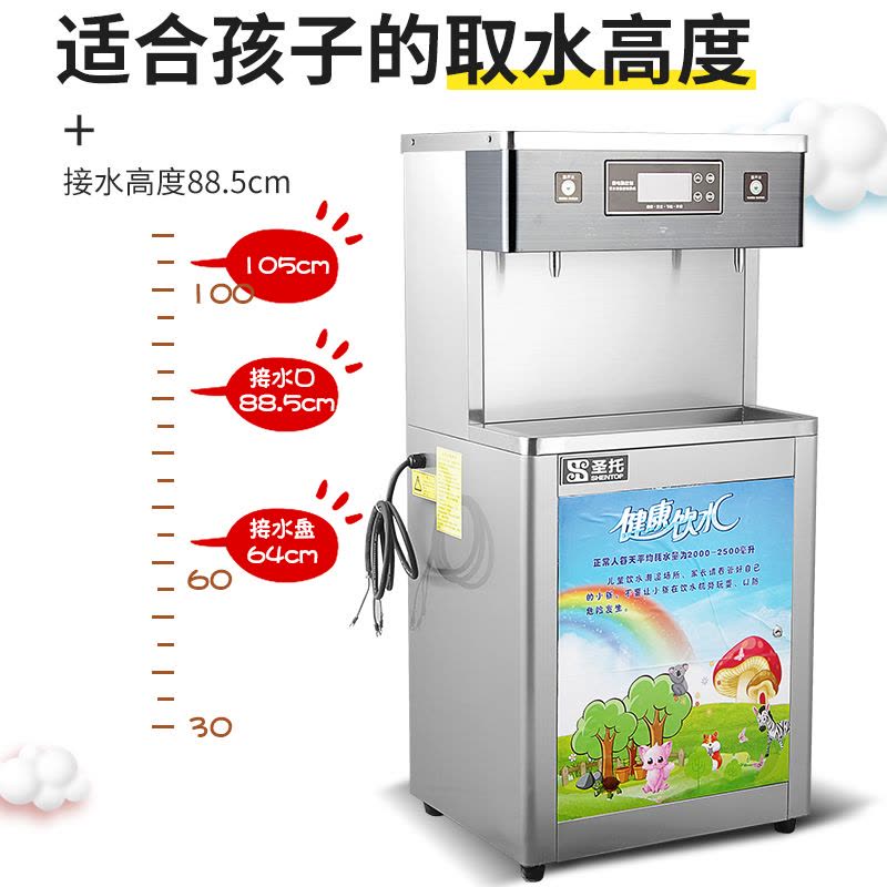 圣托(Shentop)DBA13两温触摸幼儿园开水机 全自动电热开水器商用直饮机 学校儿童净化直饮水机图片