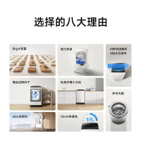 [23年新品]小米米家波轮全自动洗衣机租房宿舍 8KG公斤大容量不锈钢内桶健康桶自洁水位调节 弦月黑XQB80MJ203