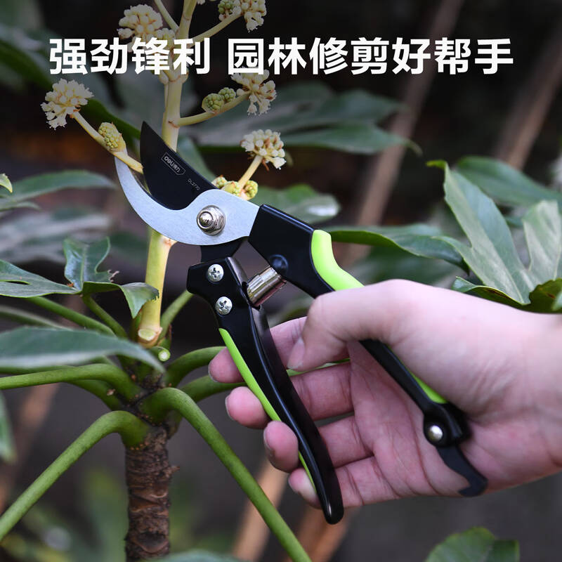 得力工具DL2770_不锈钢弯嘴花木剪8“(新VI)高清大图