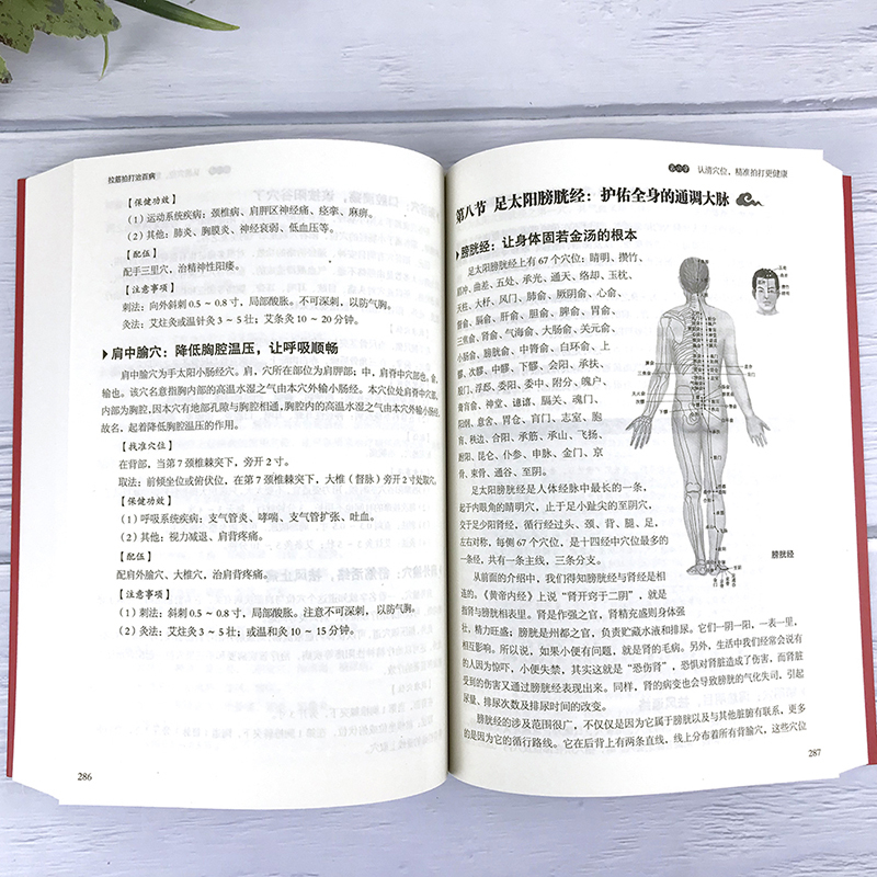 [正版]拉筋拍打治百病学习拉筋拍打的基础入门书零基础学经络穴位对症疗法中医养生保健全书中老年人健身锻炼身体的长寿保健方法