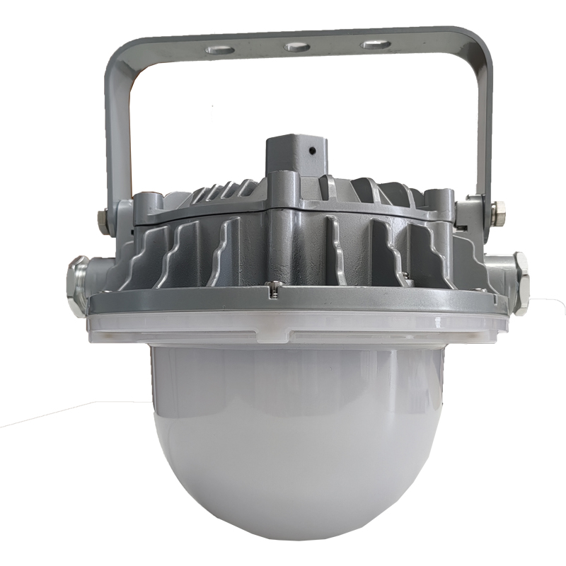 光大特照 EBF605(LQ)-48 48W 220V IP66 LED平台灯 (计价单位:个) 银白色高清大图
