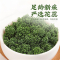 沈之问当季人参花长白山足年人参花茶干货新鲜大花蕾正品泡水泡茶