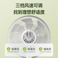 荣事达电风扇落地扇遥控家用轻音立式台式电扇大风力摇头电扇宿舍小型