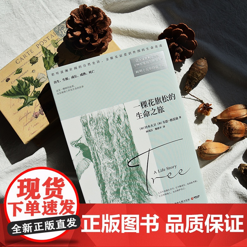 [央视网]一棵花旗松的生命之旅 聆听波澜壮阔的自然史诗 亲眼见证意识外围的生命奇迹 联合国教科文组织卡林加奖得主铃木大卫高清大图