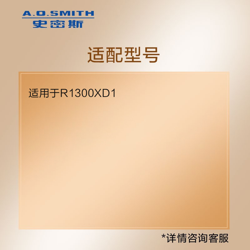 史密斯(A.O.smith) 净水器滤芯 第2级RO膜滤芯卡券1300型 适用于R1300XD1